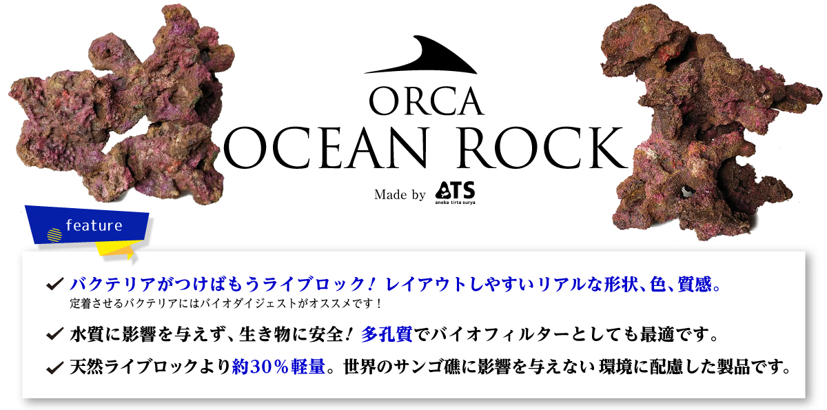ocean rock