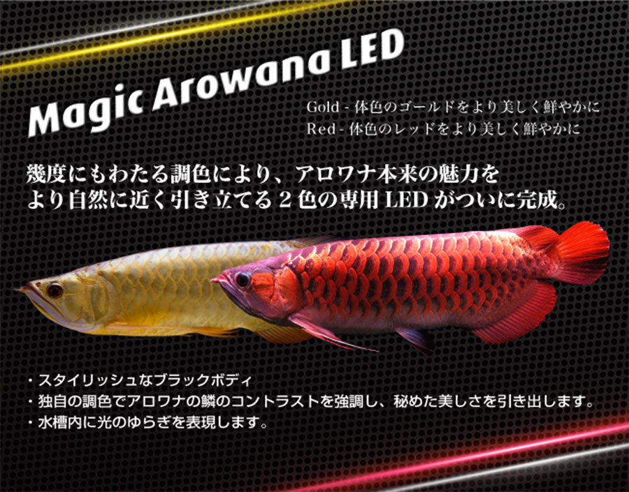 マジックアロアナled Orca Mmc企画 レッドシー事業部