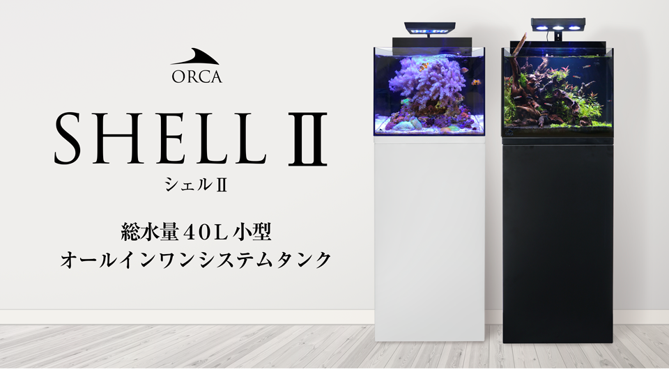 シェルⅡ