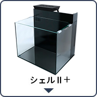 シェル2プラス