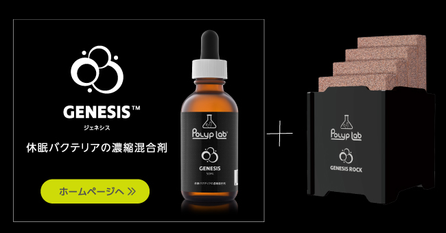 ジェネシスとの併用