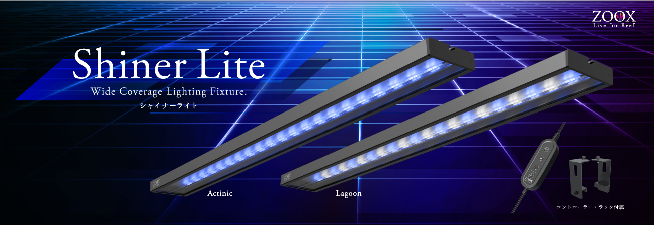 シャイナーライト