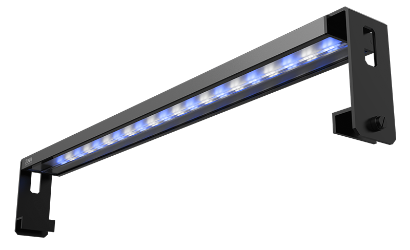 シャイナーライトラグーン60