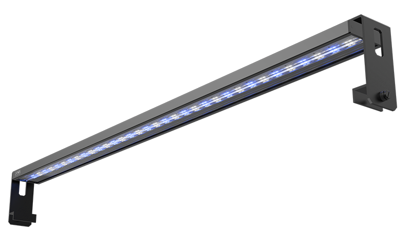 シャイナーライトラグーン90