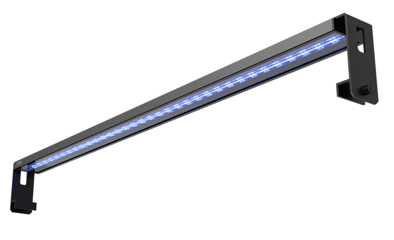 シャイナーライトアクティニック90