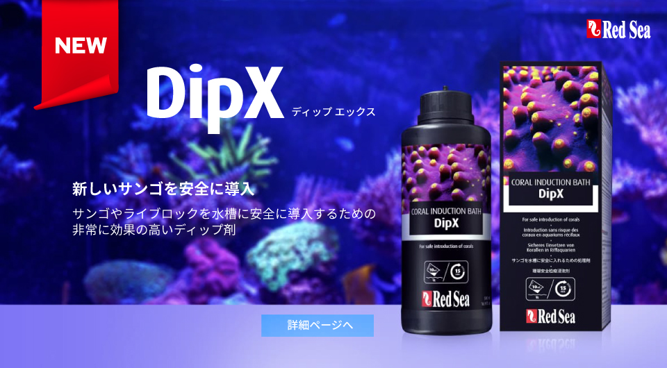 DipX