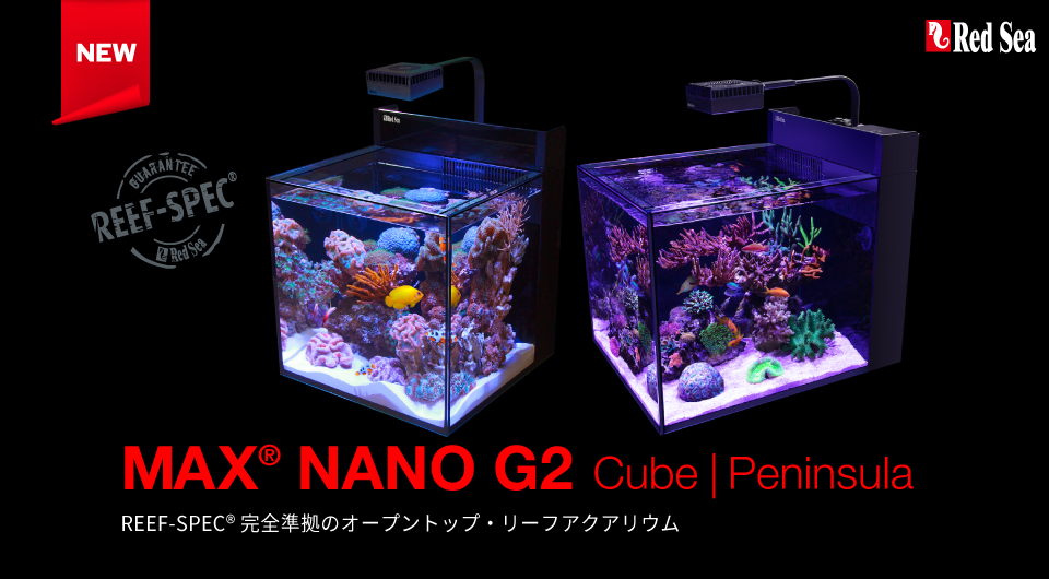 MAX NANO G2 キューブ/ペニンシュラ