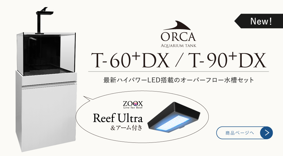 ORCA-T DX