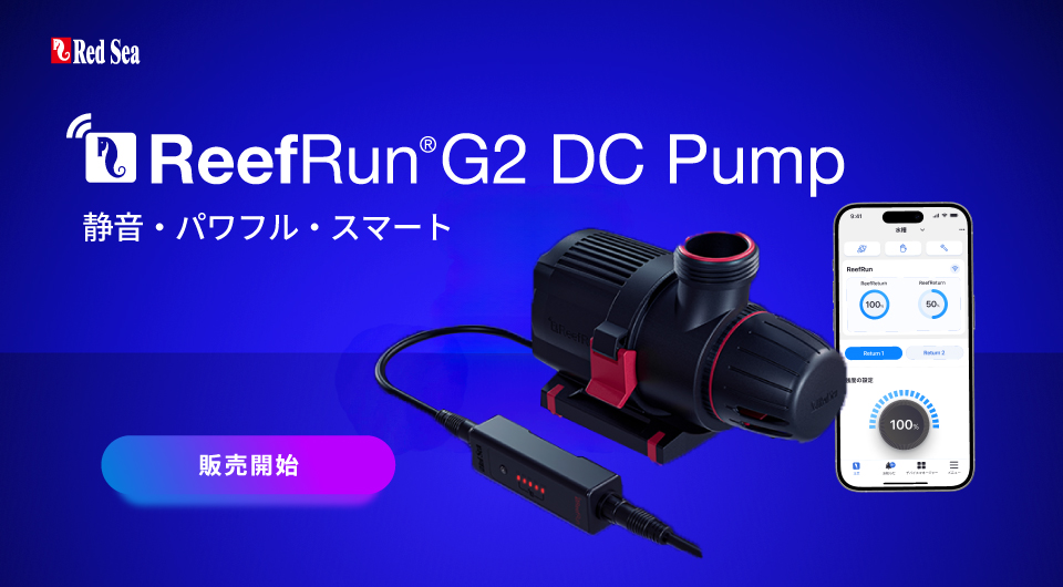 ReefRun G2
