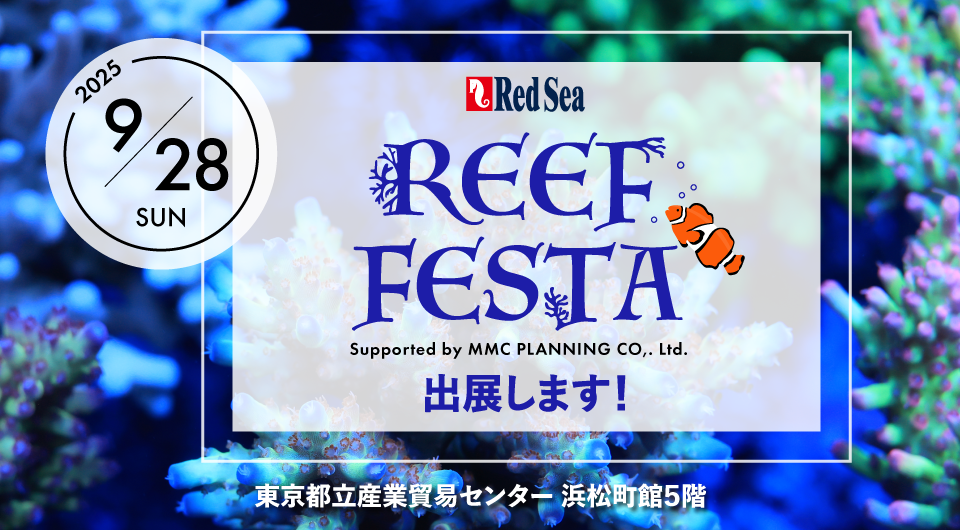 ReefFesta