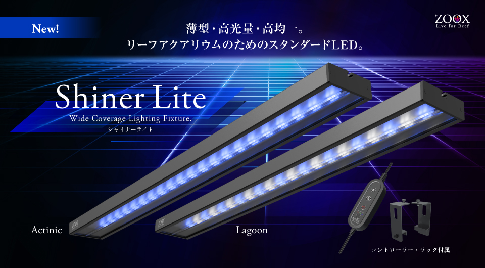 シャイナーライト